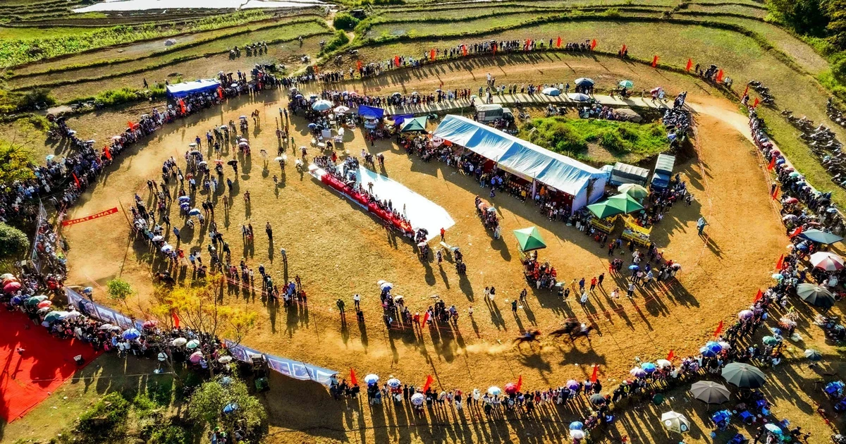 Emocionante carrera de caballos de carga en Ta Leng