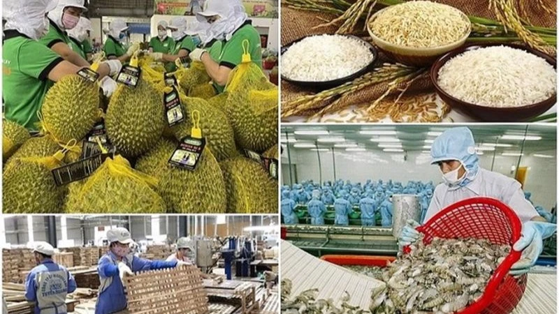 Ban hành kế hoạch đẩy mạnh xuất khẩu nông, lâm, thủy sản năm 2025