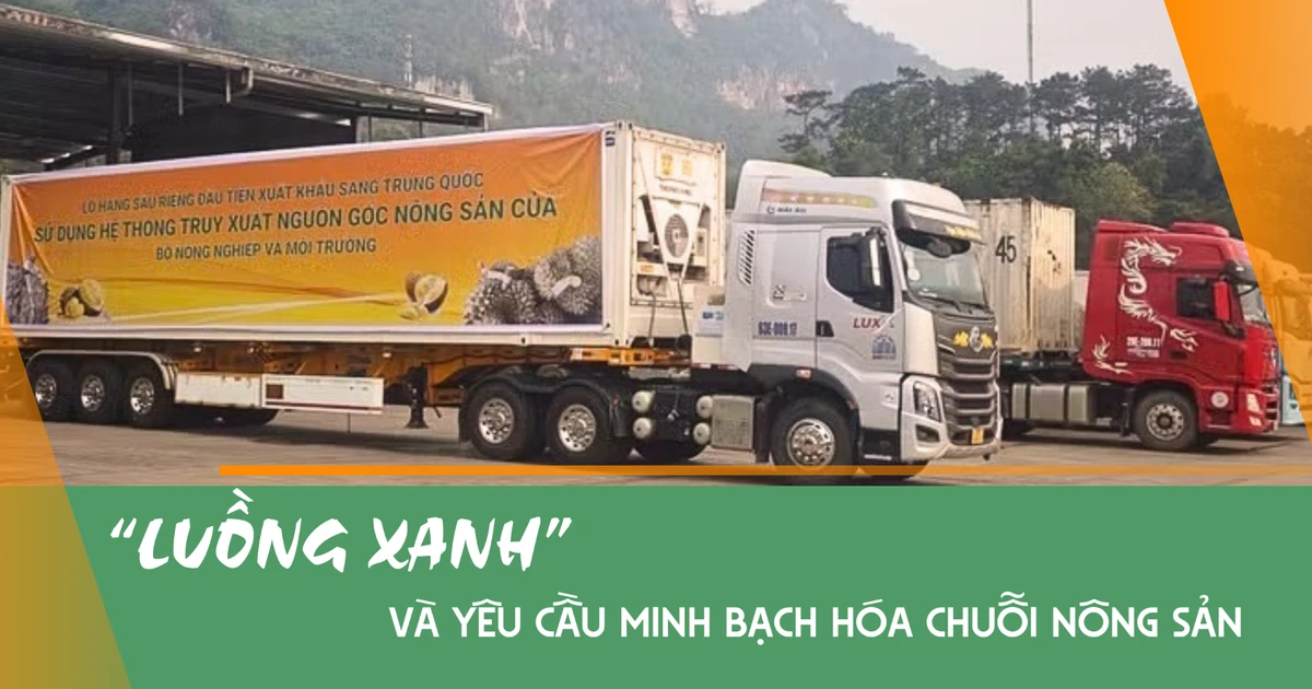Luồng xanh” và yêu cầu minh bạch hóa chuỗi nông sản