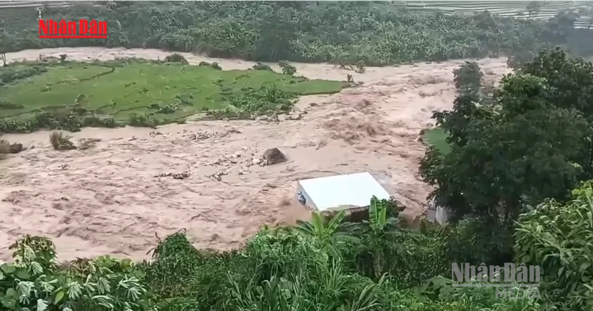 [Video] Mưa lũ làm sạt lở nhiều tuyến đường, hư hại tài sản tại Lai Châu