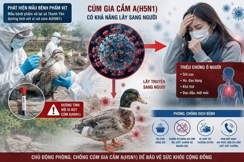 Điện Biên: Khẩn trương triển khai phòng, chống cúm gia cầm A(H5N1)