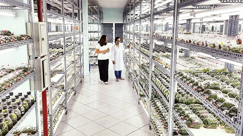 Chú trọng đào tạo nguồn nhân lực công nghệ sinh học