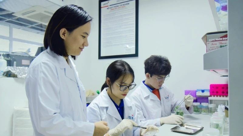 Lecturers at the University of Science and Technology of Hanoi guide students in scientific research. (Photo: USTH)