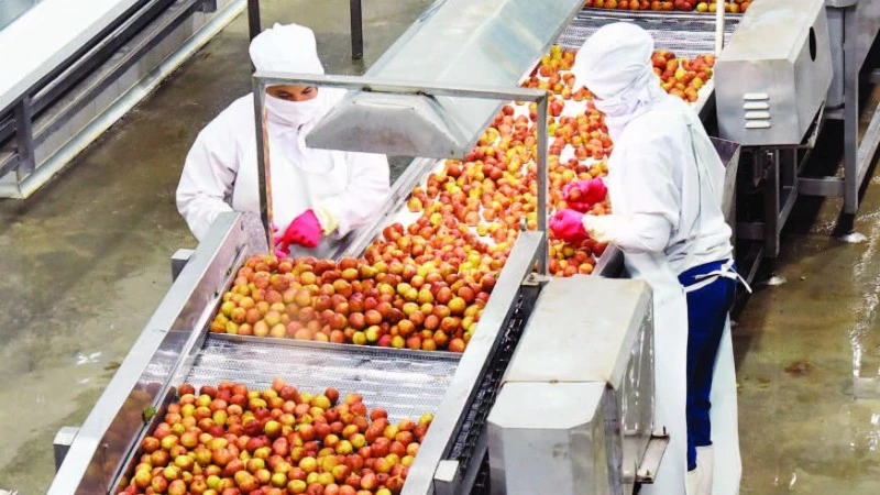 Fruit processing at Dong Giao Export Food Joint Stock Company, Ninh Binh Province. (Photo: Tran Khanh)