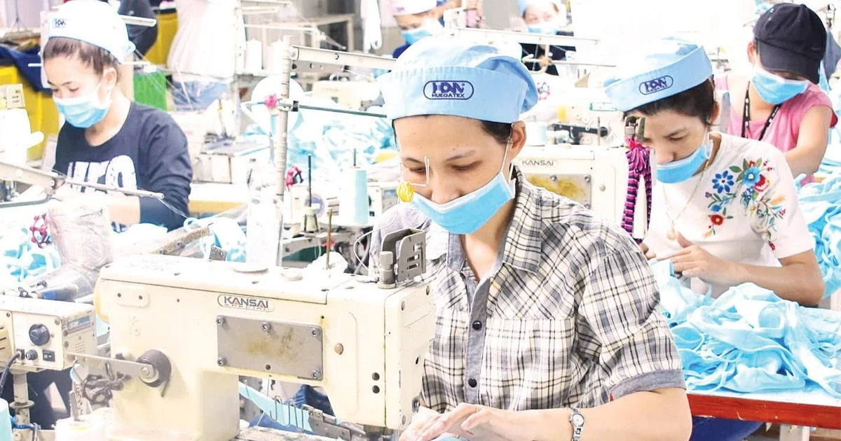 Chú trọng đầu tư, đào tạo, kết nối cung-cầu lao động
