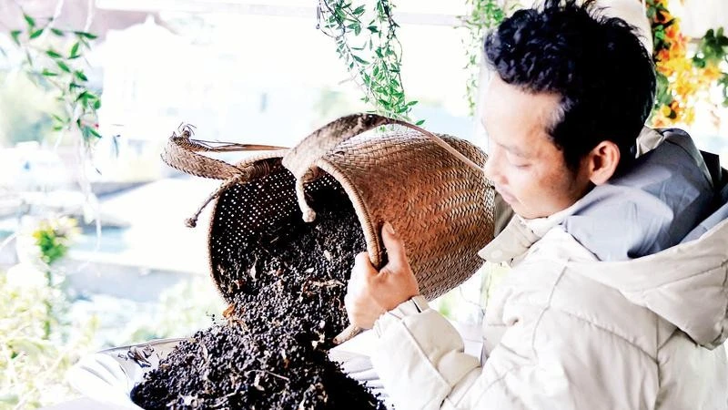 Biến quả lylu hoang dại thành muối đặc sản