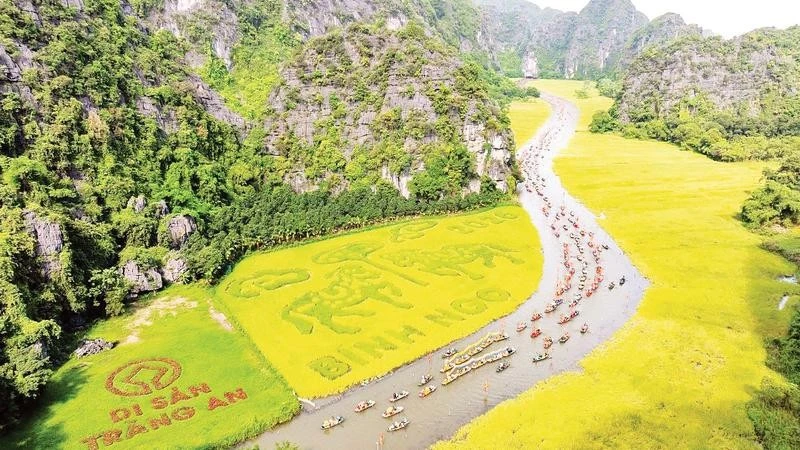 Nơi cây lúa 'biết' làm du lịch