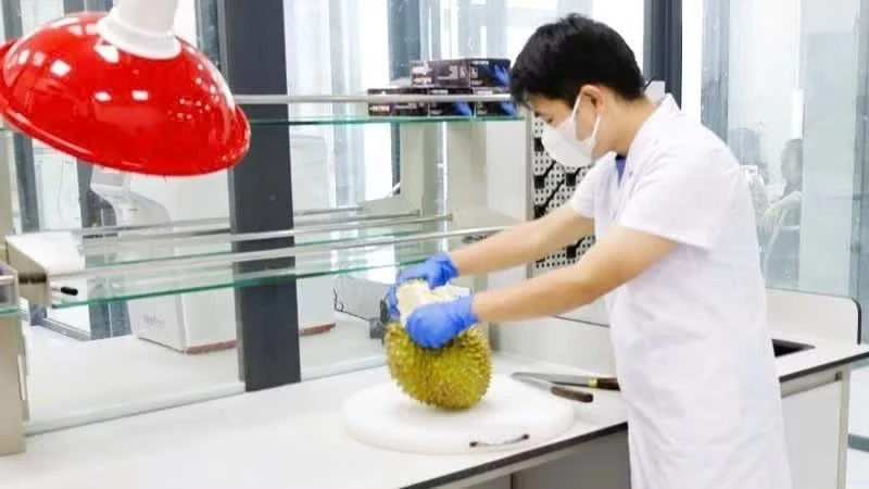 Công bố 37 cơ sở kiểm nghiệm Cadimi và Vàng O đạt tiêu chuẩn xuất khẩu sang thị trường Trung Quốc