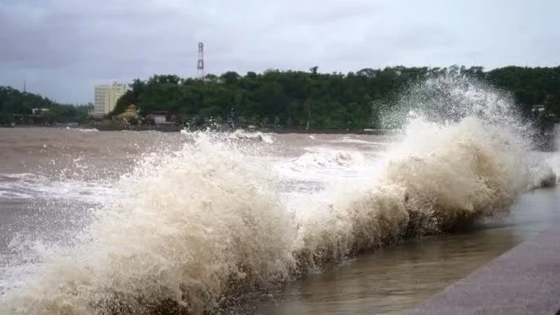Chủ động ứng phó áp thấp nhiệt đới và gió mạnh trên biển