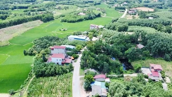 Không có nguồn tin nào được cung cấp. Vui lòng cung cấp các tiêu đề tin tức để tôi có thể tạo ra các tiêu đề tối ưu theo yêu cầu.