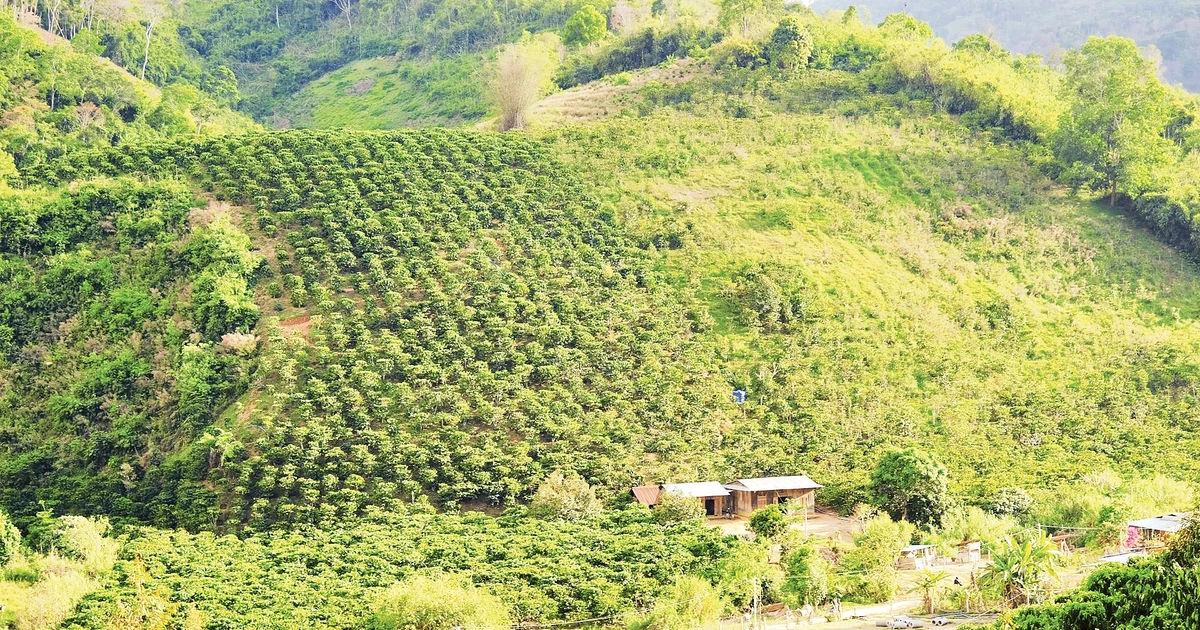 Nhịp sống mới ở Đạ M’Pô