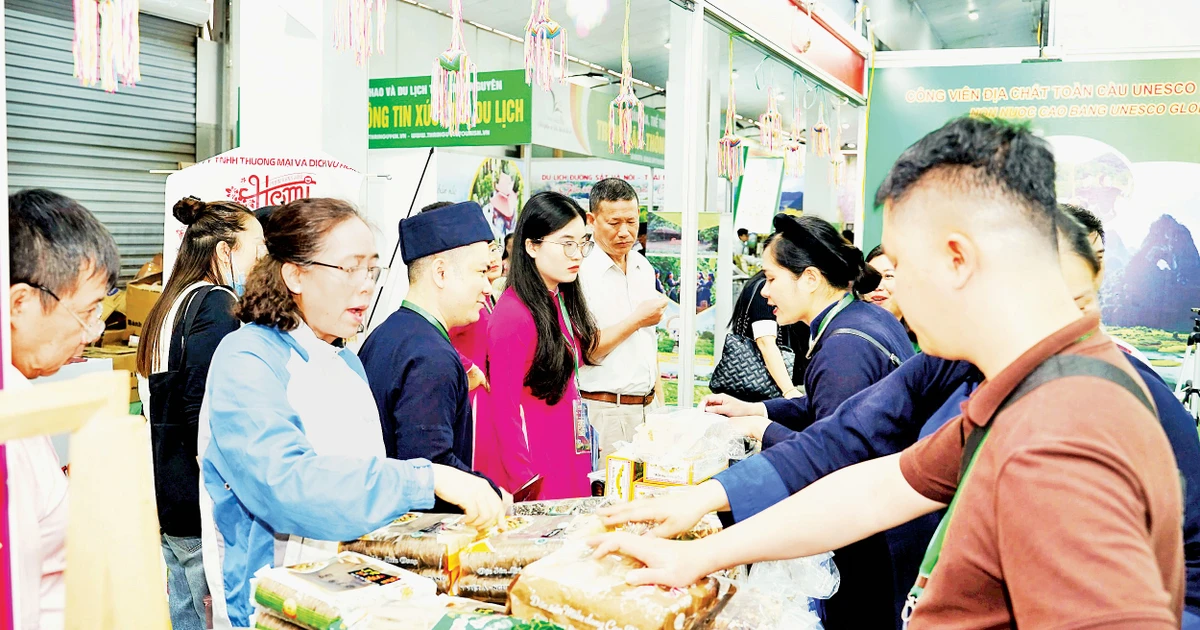 Cần một “đường băng” chuyên nghiệp