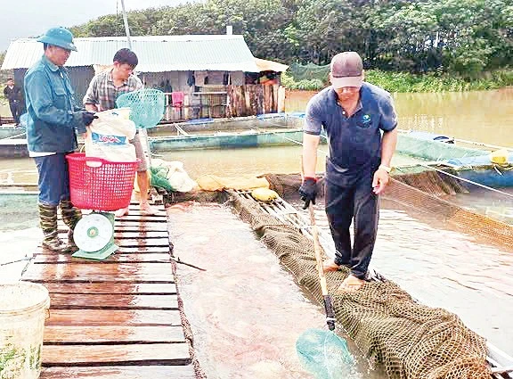 Khát vọng đổi thay bên dòng Pô Kô