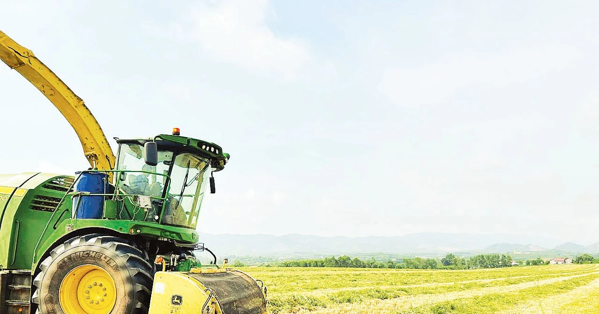 Nghệ An nâng giá trị nông nghiệp từ chiều rộng sang chiều sâu