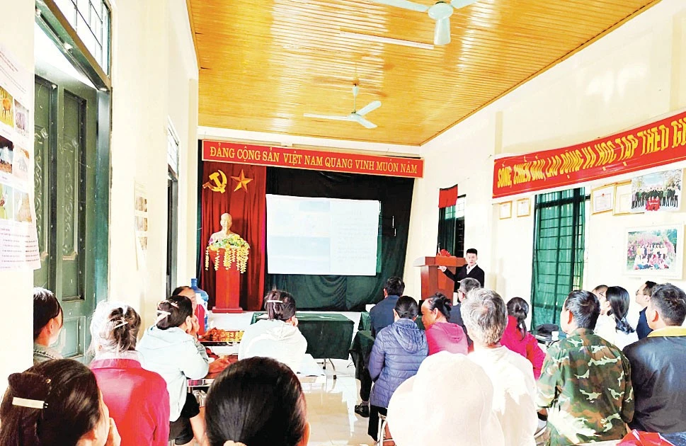 Hiệu quả từ mô hình canh tác lúa thông minh
