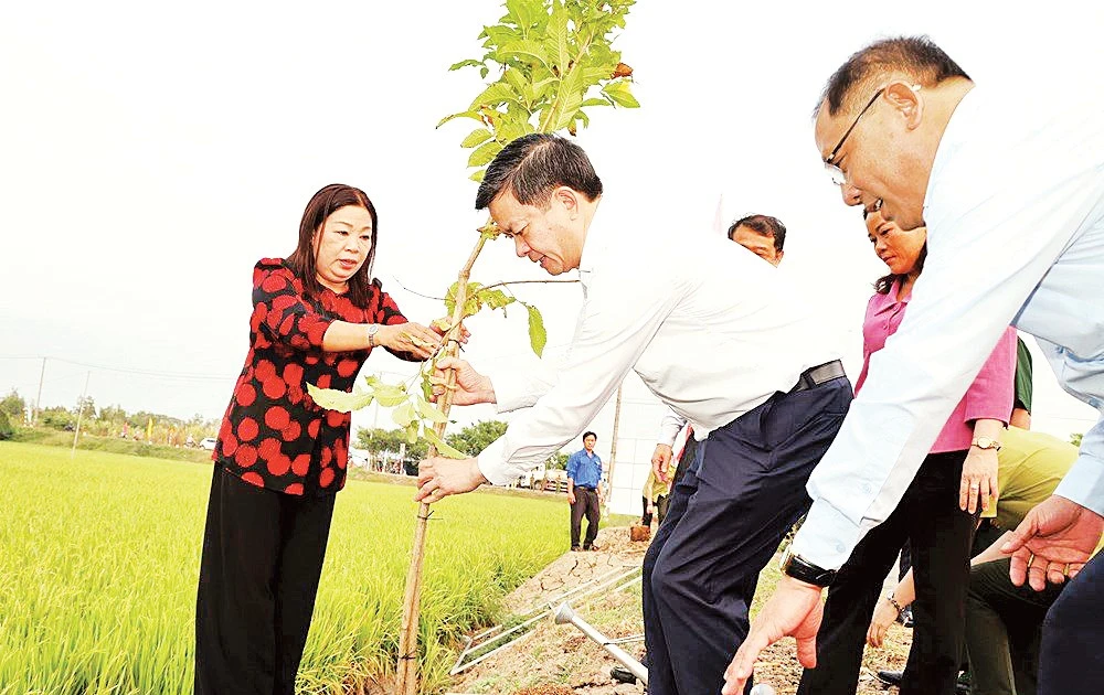Cánh én gọi mùa xanh