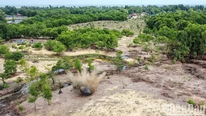 Nơi đất chưa lành, sự sống vẫn hồi sinh