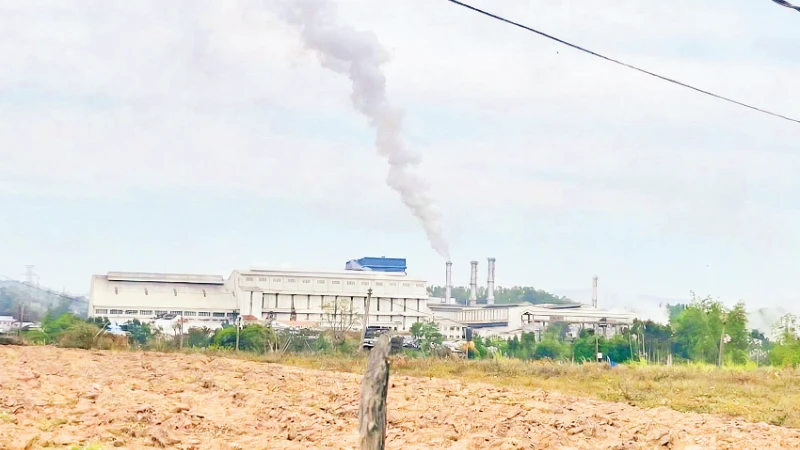 Cân bằng giữa phát triển và môi trường