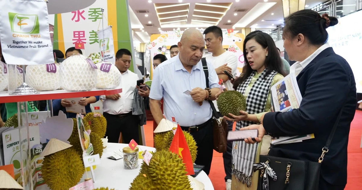 Nối dài chuỗi kỷ lục xuất khẩu sầu riêng