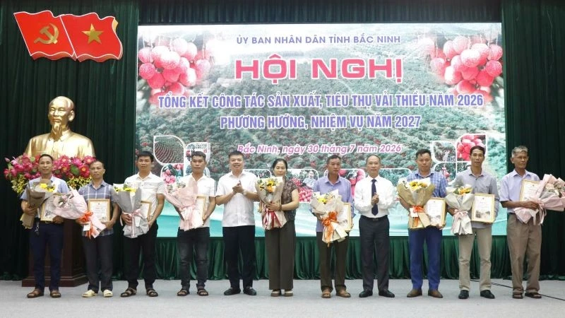 Vụ vải thiều Bắc Ninh năm 2026: Sản lượng giảm, giá cao kỷ lục