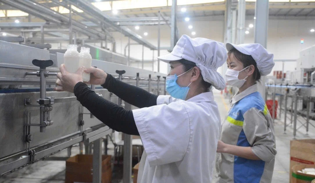 Phê duyệt “Chương trình hỗ trợ nghiên cứu sinh xuất sắc giai đoạn 2026-2030