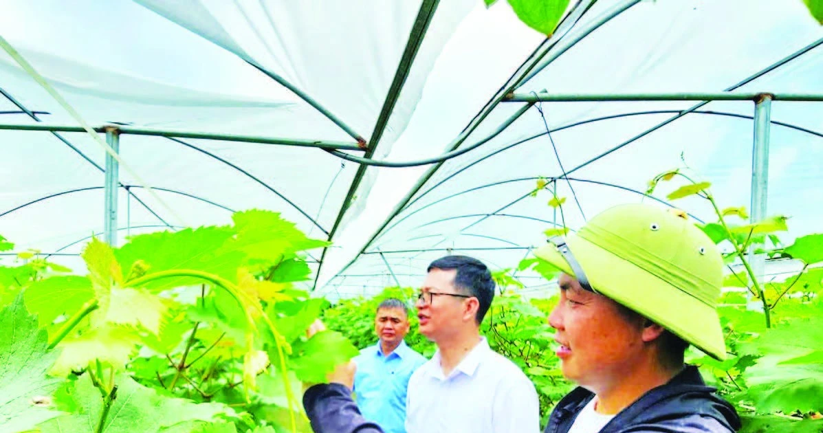 Thay thế các mô hình sản xuất và kinh doanh tốt