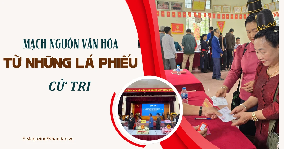 Mạch nguồn văn hóa từ những lá phiếu cử tri