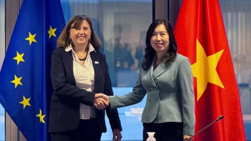 EU hỗ trợ Việt Nam 850.000 euro để khắc phục hậu quả lũ lụt