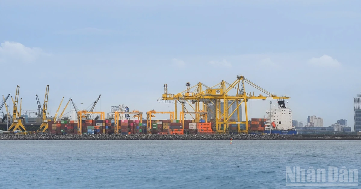 Kiến tạo vị thế logistics Đà Nẵng trên bản đồ vận tải xuyên biên giới