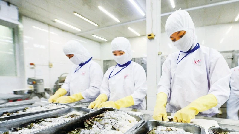 Tìm giải pháp để nông sản trụ vững, mở rộng thị trường