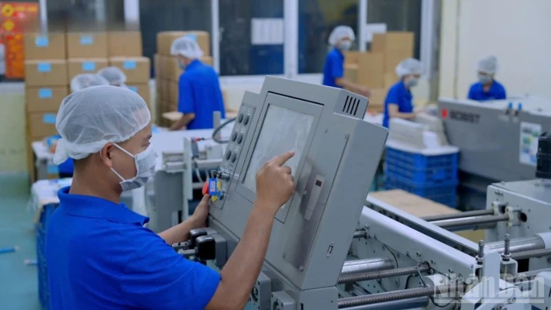 Thành phố Hồ Chí Minh thiếu lao động kỹ thuật cao