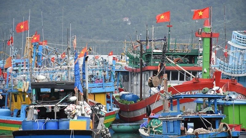  The red of the national flag on fishing vessels anchored at Tho Quang fishing port’s boat dock. (Photo: ANH DAO)