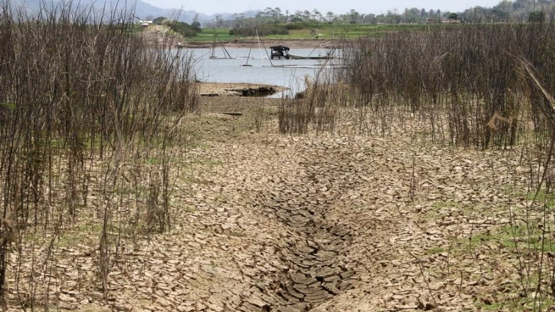 Nguy cơ hạn hán kéo dài tại Indonesia do "siêu El Niño