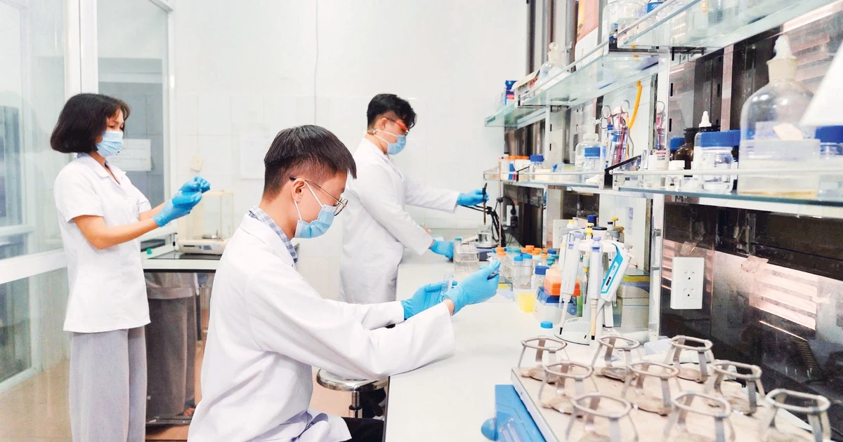 Phát huy giá trị đa dụng của dược liệu