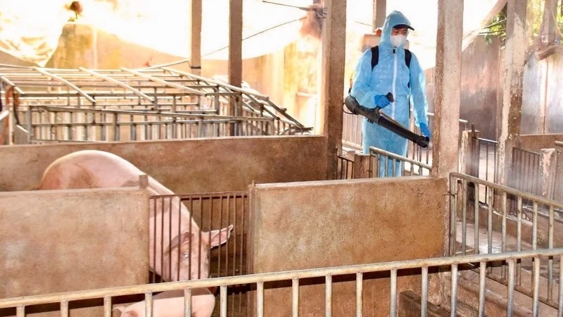 Tăng cường cán bộ thú y cơ sở