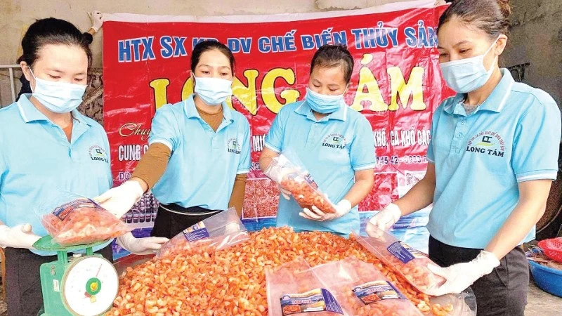 Gìn giữ hương vị biển, nâng tầm giá trị làng nghề
