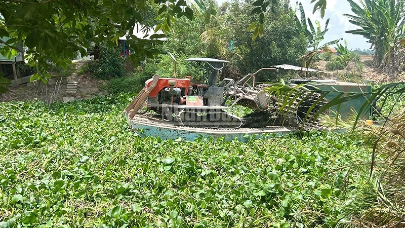 Dân tiếp tục “kêu cứu” vì lục bình dày đặc trên kênh, sông