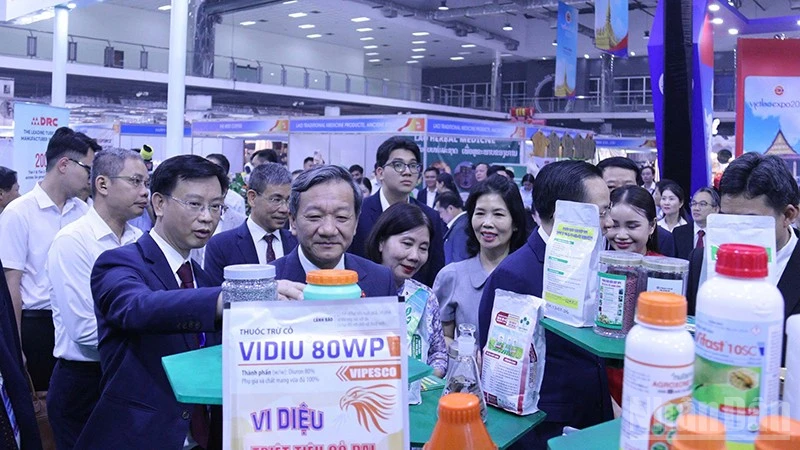 Bài viết