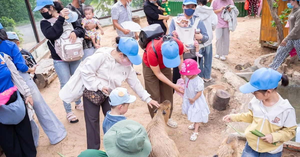 Bệnh viện Chợ Rẫy lan tỏa yêu thương trong Tháng hành động vì trẻ em