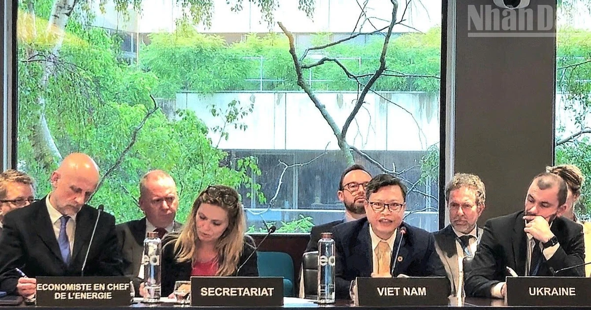Đại sứ Việt Nam tại Pháp Trịnh Đức Hải dự Hội nghị IEA về năng lượng toàn cầu