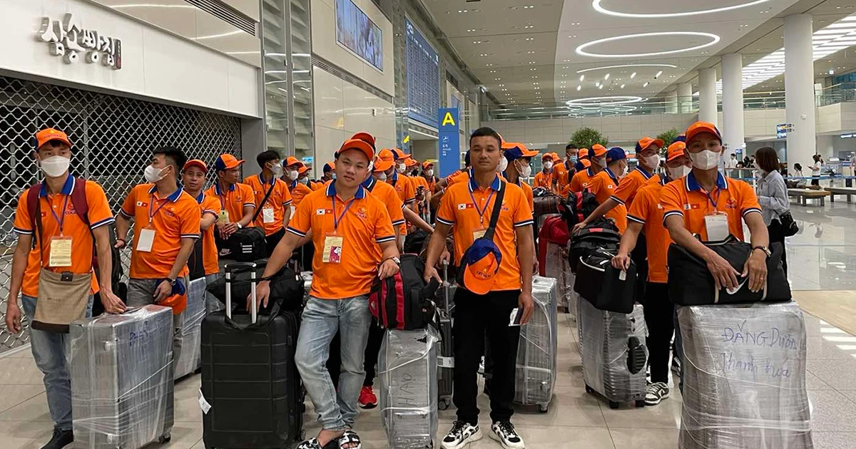 Hơn 28.000 lao động đi làm việc ở nước ngoài theo hợp đồng trong quý I/2026