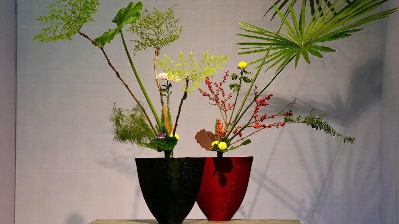 The refined beauty of the works at the 8th Ha Noi Ikebana Exhibition.