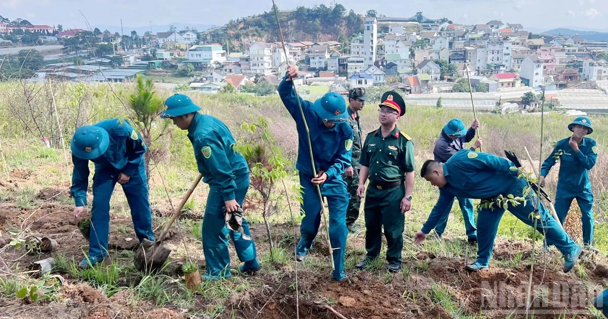 Lâm Đồng: Đồng loạt ra quân trồng cây mai anh đào kỷ niệm ngày sinh nhật Bác tại phường Xuân Trường-Đà Lạt