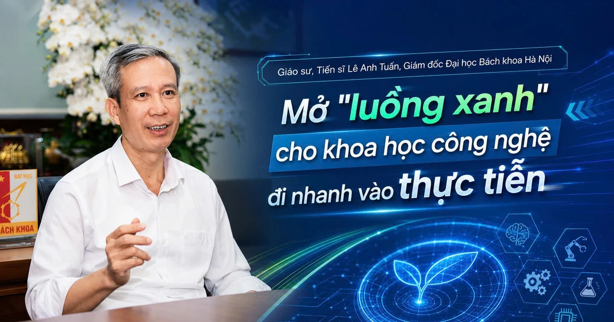 Bài viết