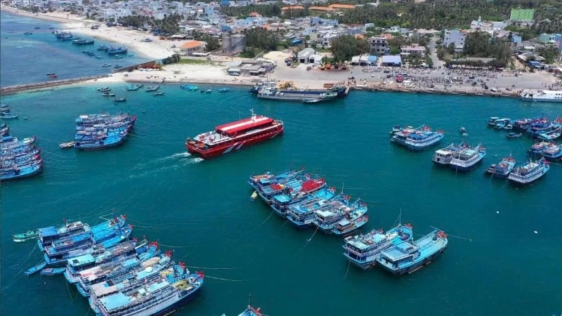 Fishing fleet anchored at Phu Quy Port.