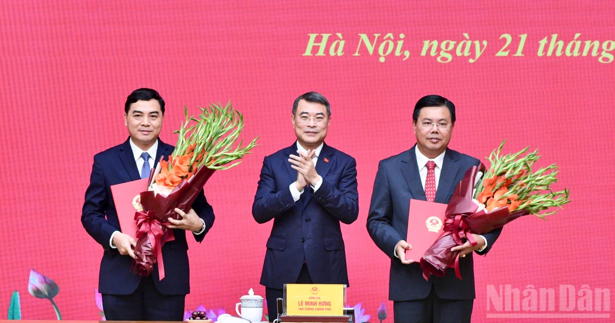Công bố quyết định của Thủ tướng Chính phủ về công tác cán bộ
