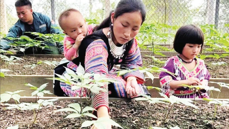 Bước chuyển xây dựng nông thôn mới