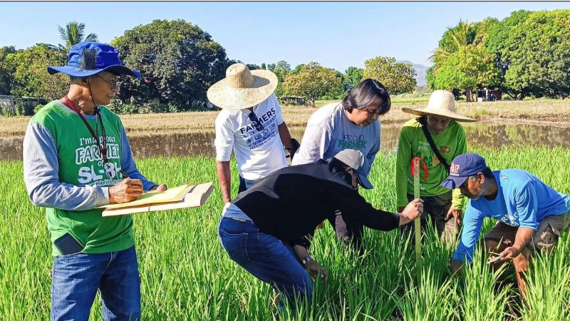 Việt Nam và Philippines hợp tác bảo đảm an ninh lương thực