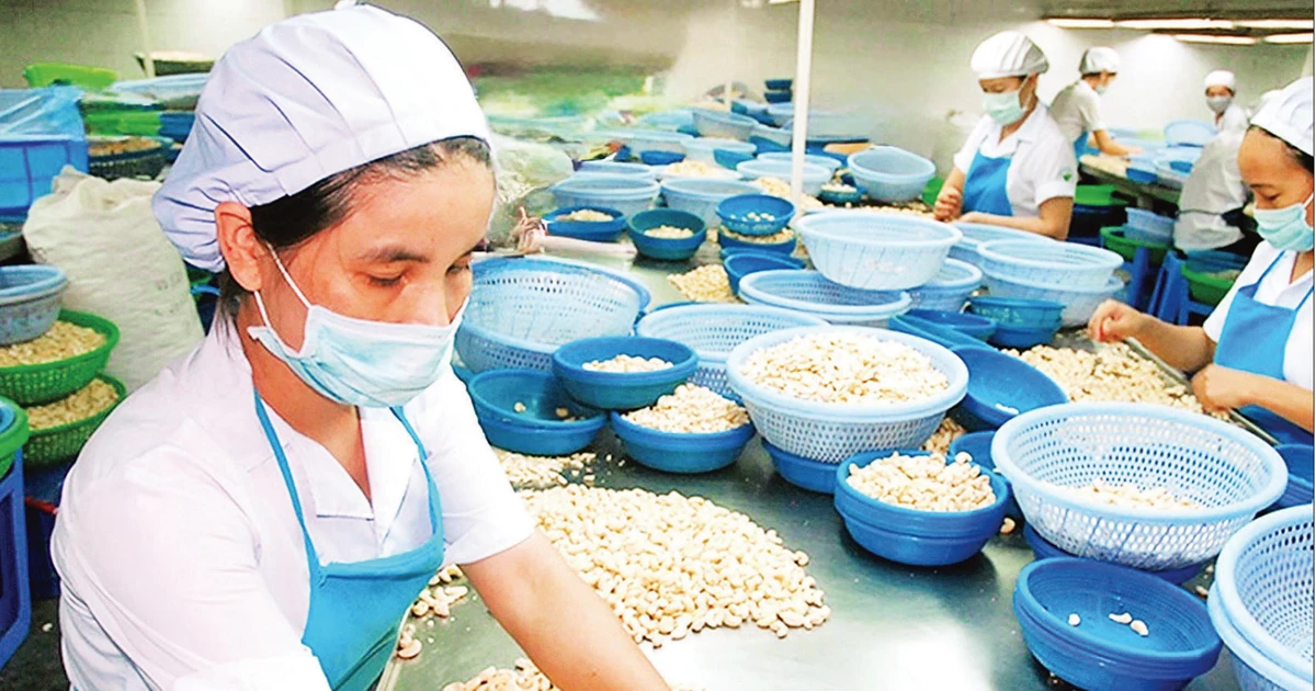 Biến “rào cản xanh” thành lợi thế cạnh tranh