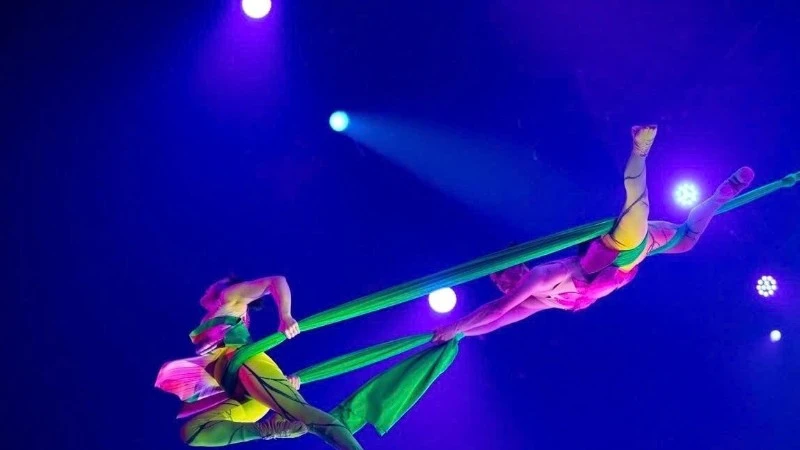 Image from the act “Lotus Swing.” (Photo: Organising Committee)
